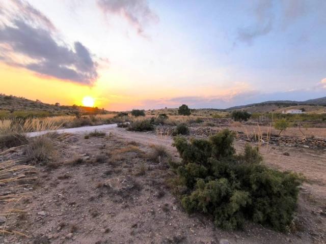 Terreno en Venta en Pinoso El Pinós