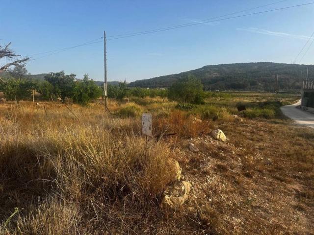 Terreno en Venta en Pinoso El Pinós
