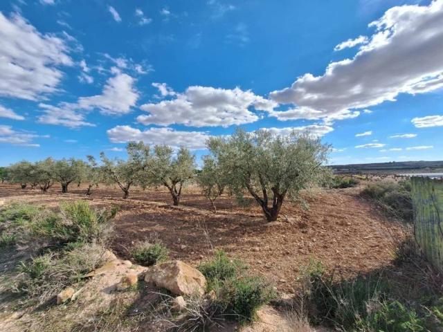 Terreno en Venta en Pinoso El Pinós