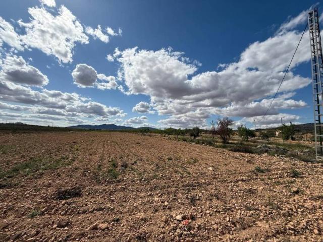 Terreno en Venta en Pinoso El Pinós