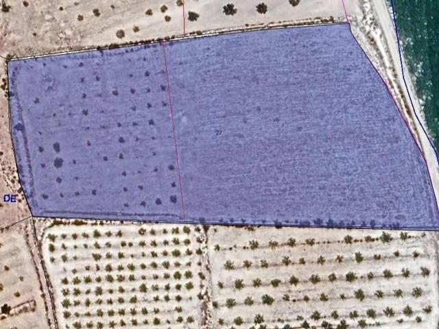 Terreno en Venta en Pinoso El Pinós