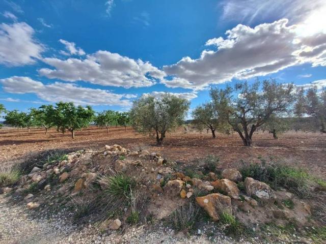 Terreno en Venta en Pinoso El Pinós