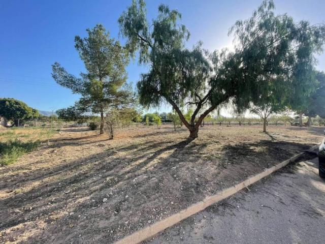 Terreno en Venta en Pinoso El Pinós