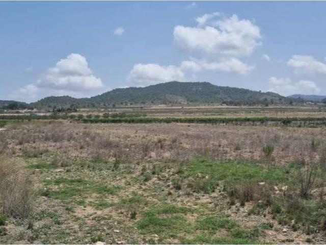 Terreno en Venta en Pinoso El Pinós
