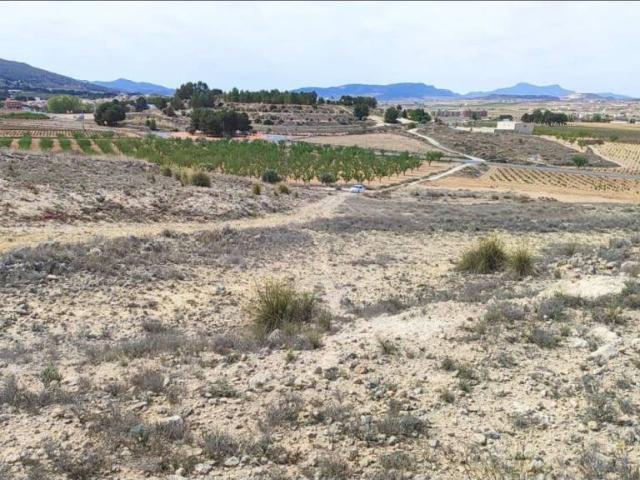 Terreno en Venta en Pinoso El Pinós