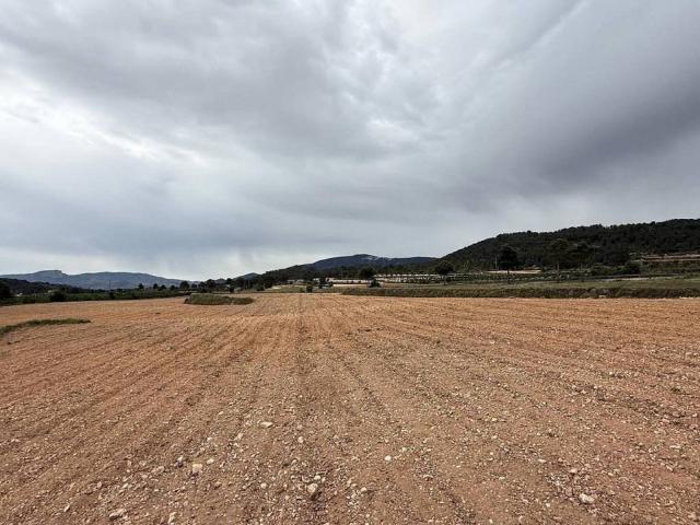 Terreno en Venta en Pinoso El Pinós