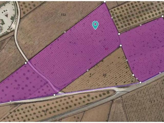 Terreno en Venta en Pinoso El Pinós