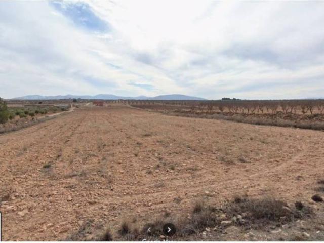 Terreno en Venta en Pinoso El Pinós
