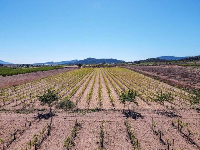 Terreno en Venta en Pinoso El Pinós