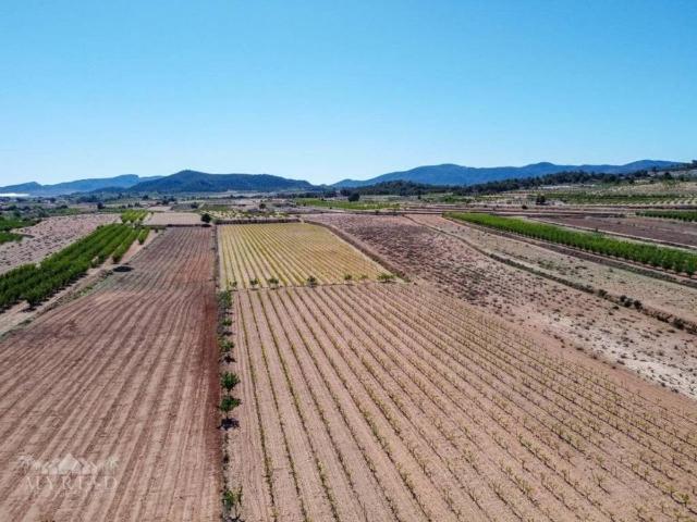 Terreno en Venta en Pinoso El Pinós