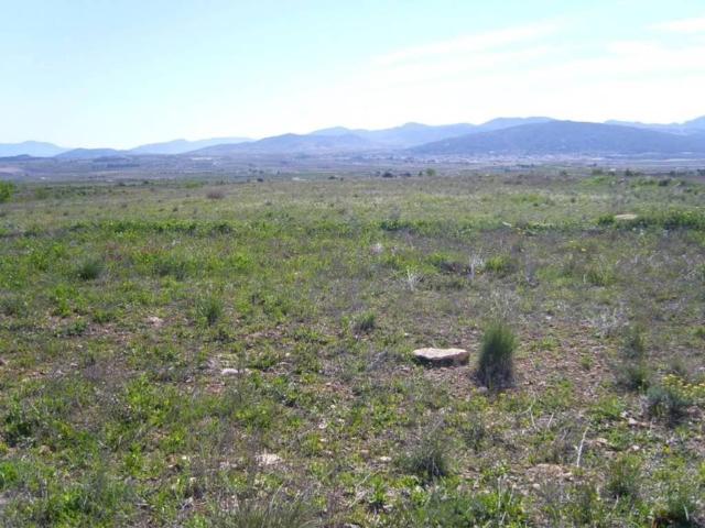 Terreno en Venta en Pinoso El Pinós