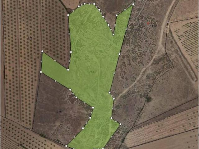 Terreno en Venta en Pinoso El Pinós