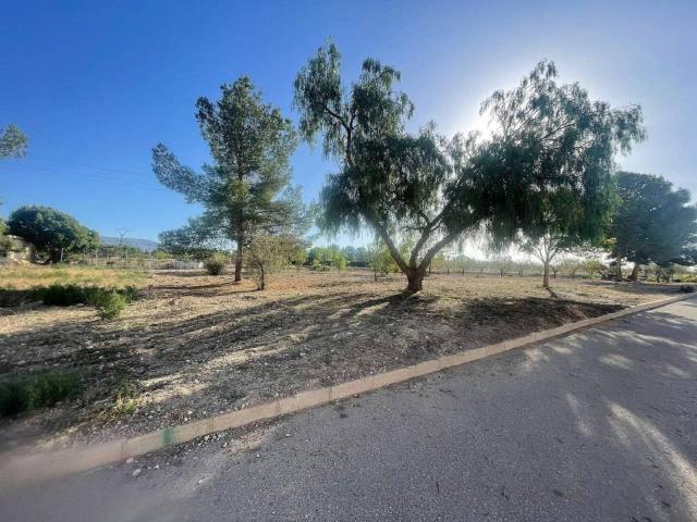 Terreno en Venta en Pinoso El Pinós
