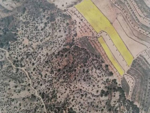 Terreno en Venta en Pinoso El Pinós
