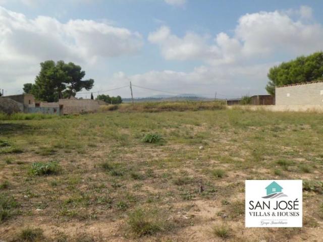Terreno en venta en Pinoso, EL RODRIGUILLO