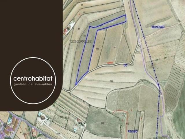 Terreno en venta en Pinoso, Pedanía de Ubeda Pinoso