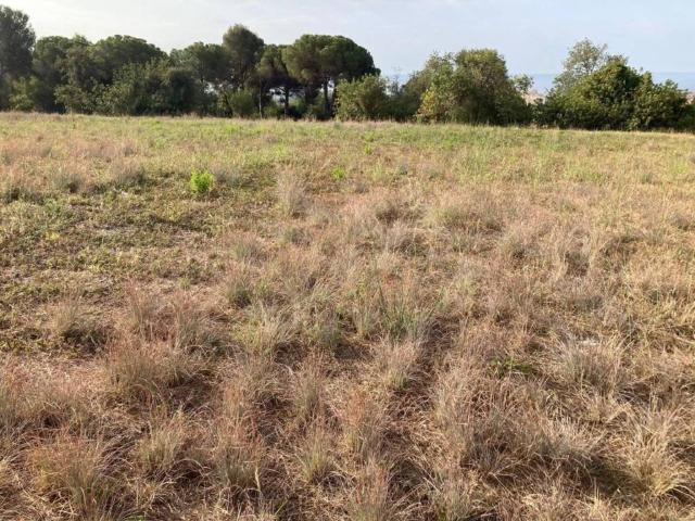 Terreno en Venta en Pineda de Mar