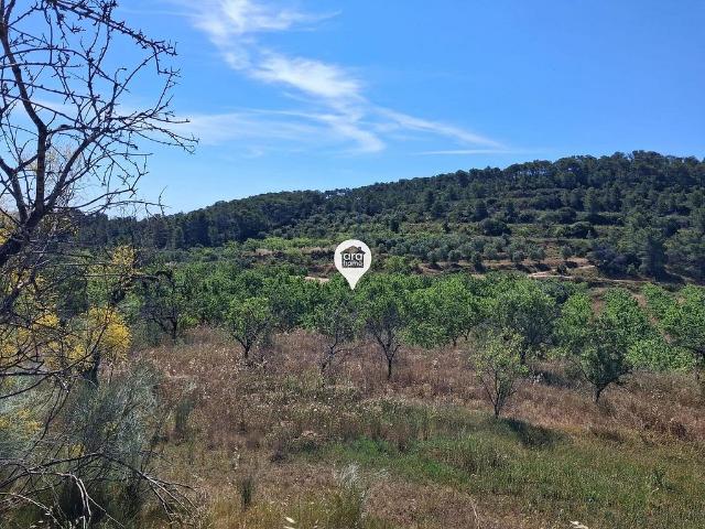 Terreno en venta en Pinell de Brai, El, de 140.000 m² por 190.000