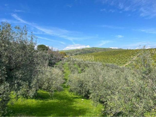 Terreno en Venta en Pizarra