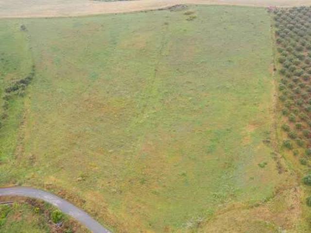 Terreno en Venta en Pizarra