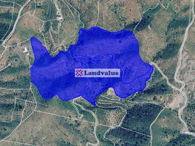 Terreno en Venta en Pizarra