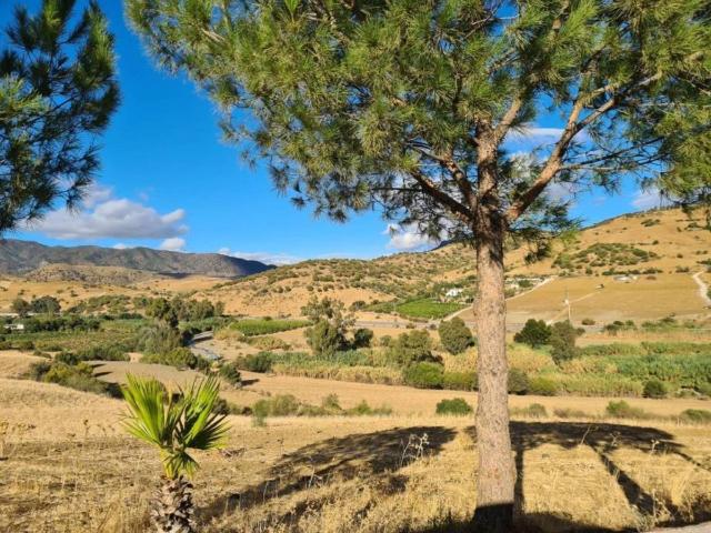Terreno en Venta en Pizarra