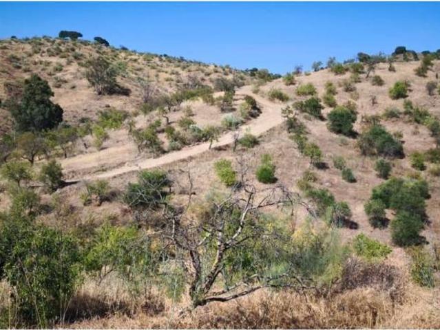 Terreno en Venta en Pizarra