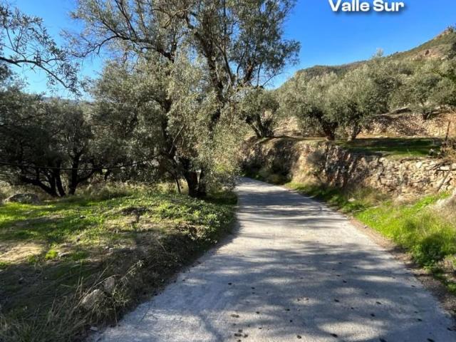 Terreno en venta en Piñar, Pinos del Valle