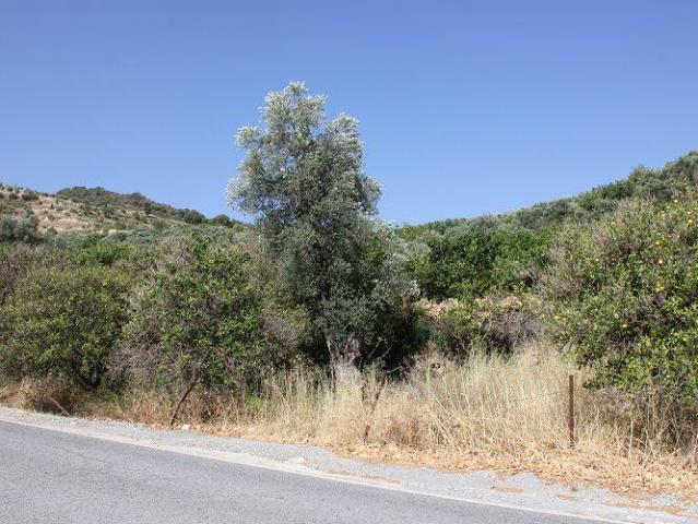 Terreno en venta en Piñar, Restabal