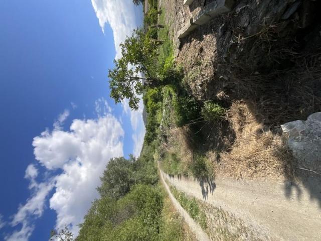 Terreno en venta en Piñar, Restabal