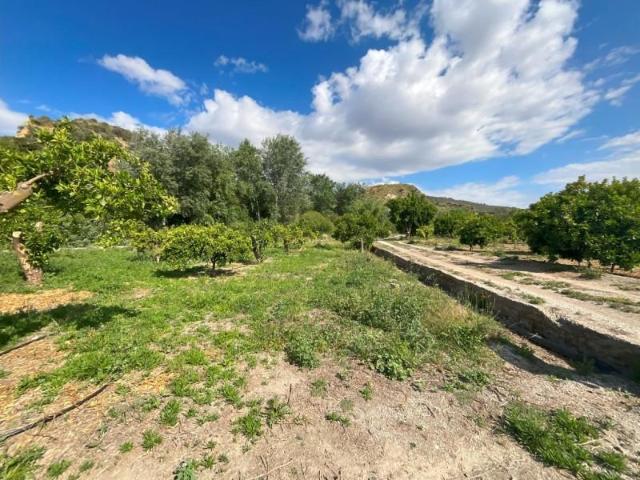Terreno en venta en Piñar, Restabal