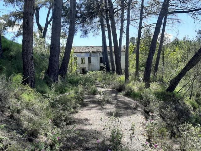 Terreno en venta en Planes, Planes