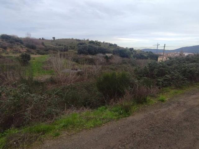 Terreno en Venta en Plasencia