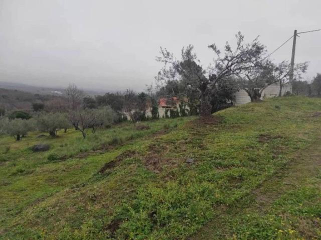 Terreno en Venta en Plasencia