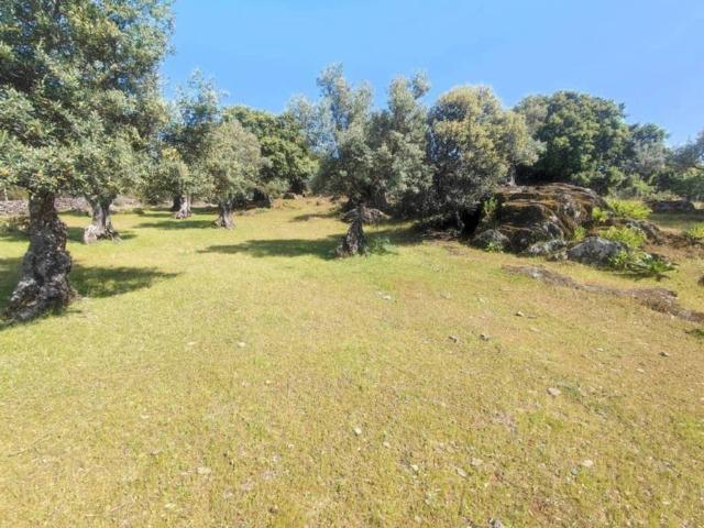 Terreno en Venta en Plasencia