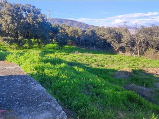 Terreno en Venta en Plasencia