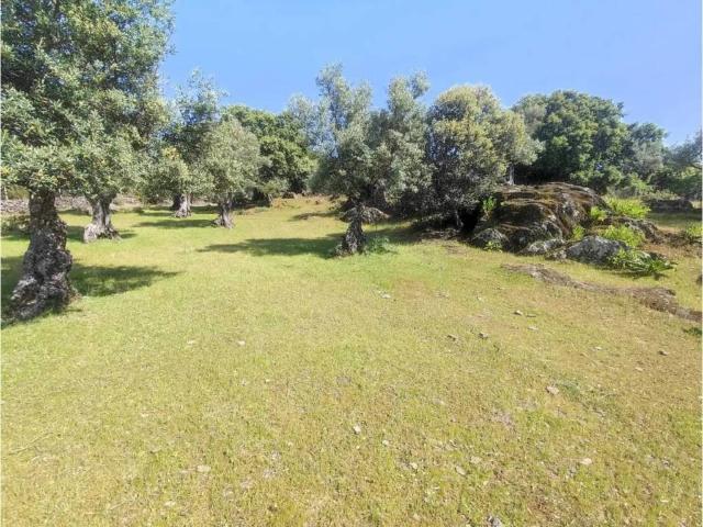 Terreno en Venta en Plasencia