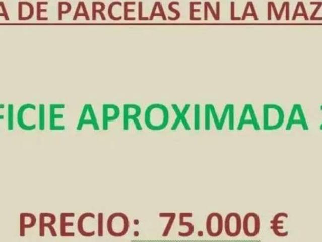 Terreno en Venta en Plasencia