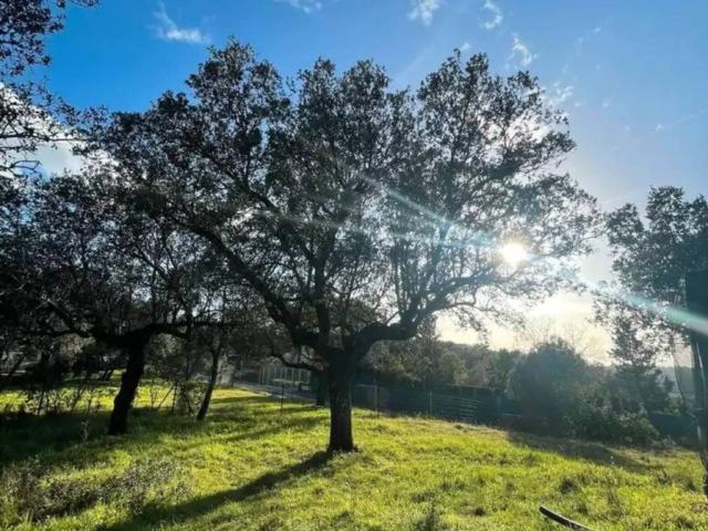 Terreno en Venta en Plasencia