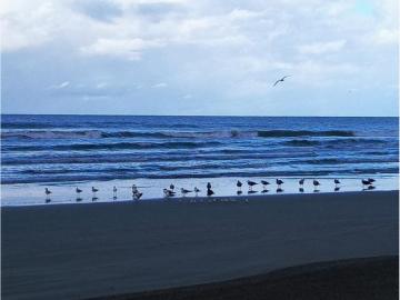 Terreno en venta en Playa Novillero, Tecuala, Nayarit