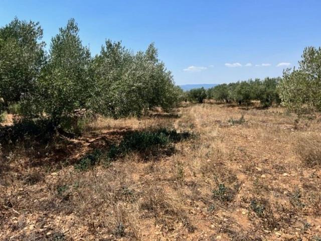 Terreno en venta en plaza De la Vila, Bràfim, de 21.134 m² por 30.000