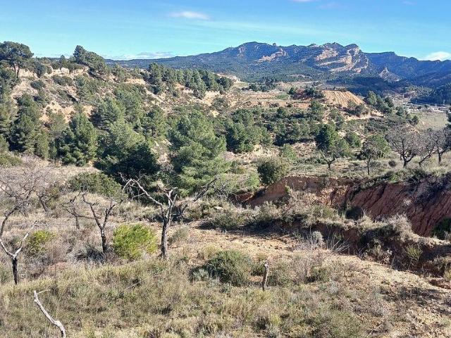 Terreno en venta en plaza De Setembre, Bot, de 6.700 m² por 18.000