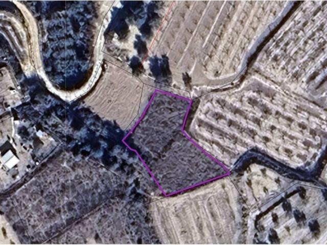 Terreno en Venta en Pliego