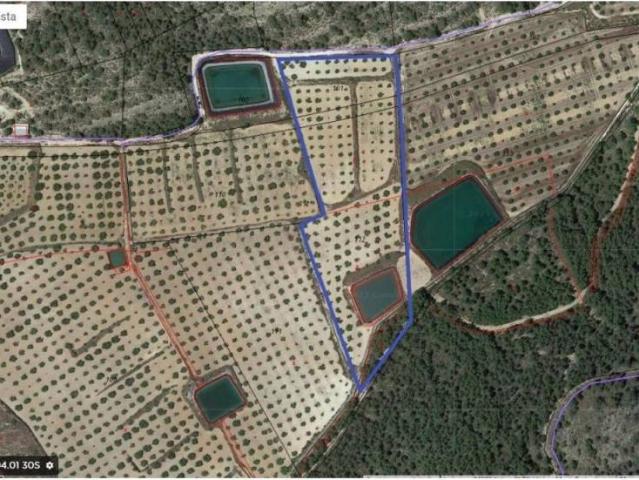 Terreno en Venta en Pliego