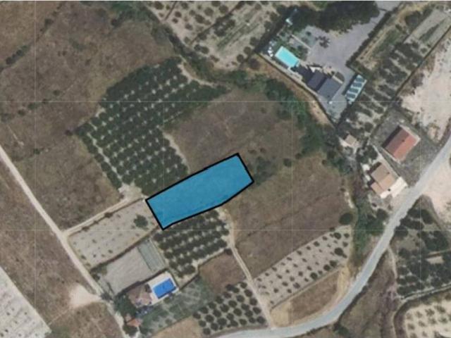 Terreno en Venta en Pliego