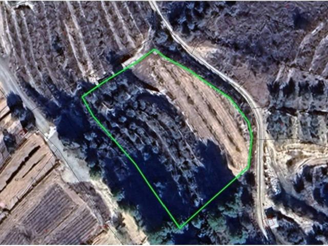 Terreno en Venta en Pliego