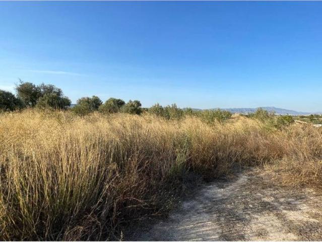 Terreno en Venta en Pliego