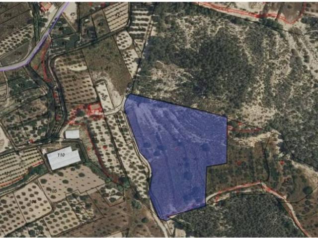 Terreno en Venta en Pliego