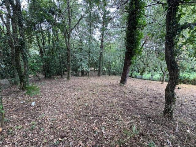 Terreno en Venta en Poio