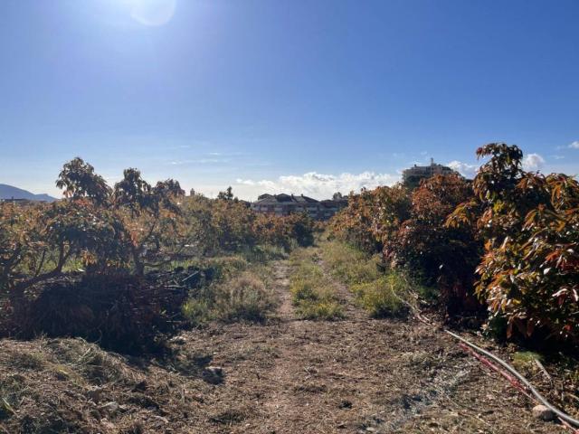 Terreno en Venta en Polop